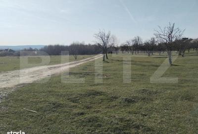 Spațiu comercial, în Aninoasa - 7