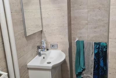 Garsonieră decomandată în Nufărul