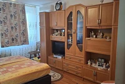 Apartament cu 2 camere decomandat, mobilat în Lăpuș Argeș