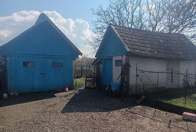 Casă cu 4 camere în Lunca Mureșului - 7