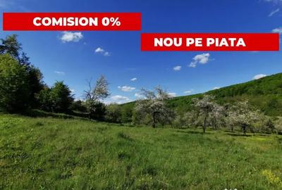 Teren în Budeasa
