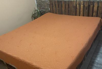 Apartament cu 2 camere semidecomandat în Central - 3
