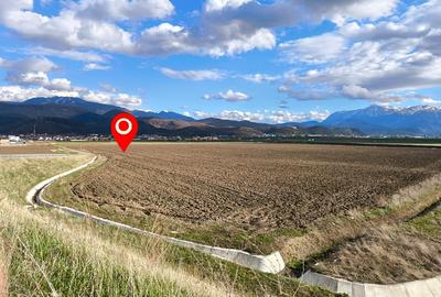 Teren agricol intravilan de 17000 mp, în Cristian - 1