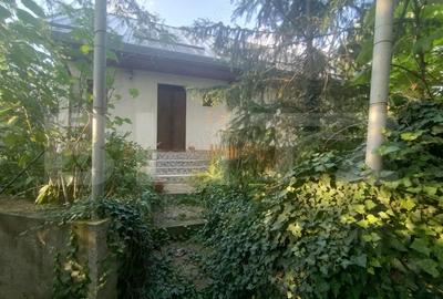 Casă cu 5 camere cu Teren 3400 Mp în Leamna de Sus - 5