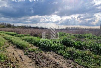 Teren Construcții intravilan de 1700 mp, în Sacoșu Turcesc - 2