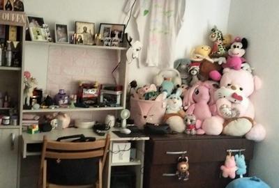 Apartament cu 2 camere decomandat în Electroprecizia