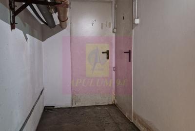 Proprietate specială, de 2.6300001144409 mp, în Șoseaua Nordului