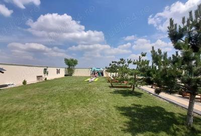 Teren de 1000 mp, în Ciorogârla - 3