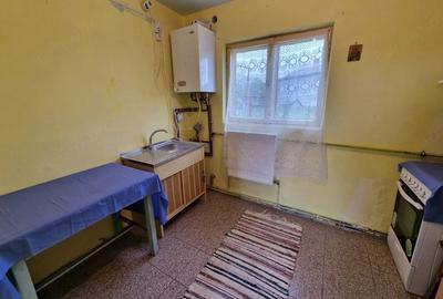 Casă cu Teren 1223 Mp în Moșoaia