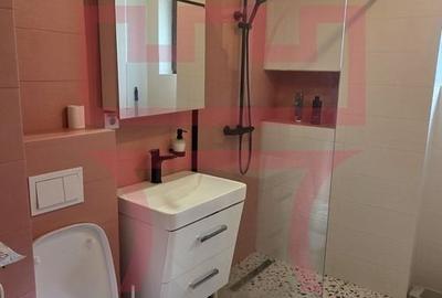 Apartament cu 2 camere semidecomandat, mobilat în Gruia - 8