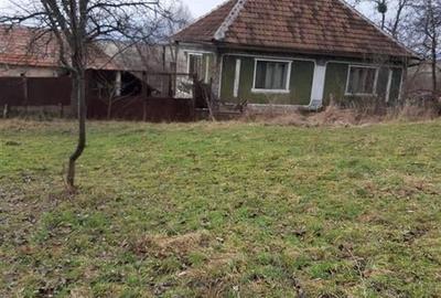 Casă individuală cu 4 camere cu Teren 6240 Mp în Valea Crișului - 4