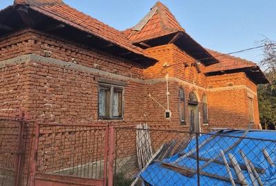 Casă cu 4 camere cu Teren 5108 Mp în Poienari (Poienarii de Muscel) - 1