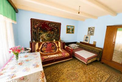 Casă cu 3 camere cu Teren 3000 Mp în Podu Roș - 1