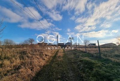 Teren Construcții intravilan de 8000 mp, în Daia - 7