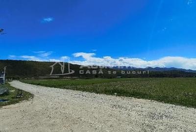 Teren de 784 mp, în Central - 1