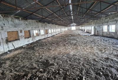 Teren de 15000 mp, în Cămărașu - 9