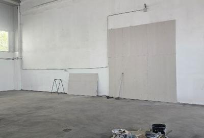 Spațiu industrial, de 400 mp, în Olteni - 6