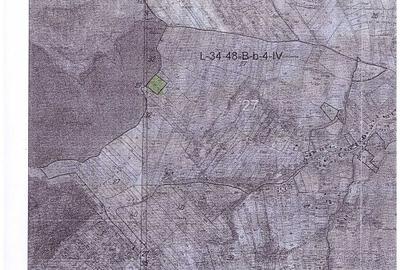 Teren de 70000 mp, în Sântejude - 1