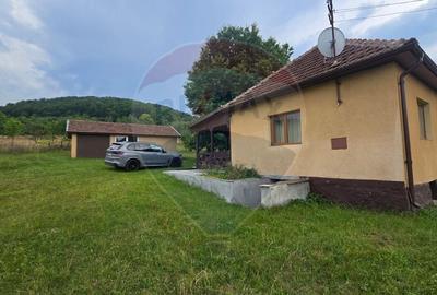 Casă cu 4 camere cu Teren 2000 Mp în Damiș - 44