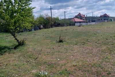 Teren de 2540 mp, în Șimian - 4