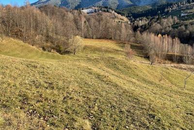 Teren de 10000 mp, în Bran - 2