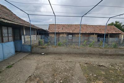 Casă cu 4 camere cu Teren 1500 Mp în Urzica - 7