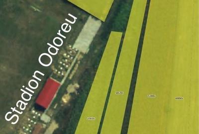 Teren de 24000 mp, în Odoreu