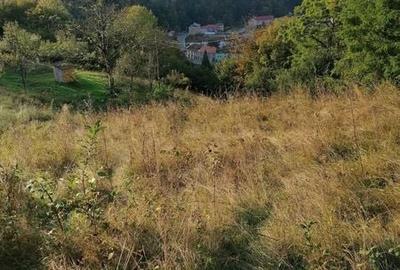 Teren de 18982 mp, în Nădrag