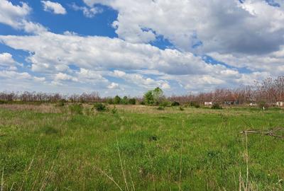 Casă individuală cu 4 camere cu Canalizare în Sud-Vest - 7