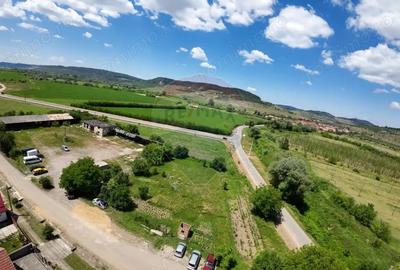 Teren de 7929 mp, în Daneș - 1