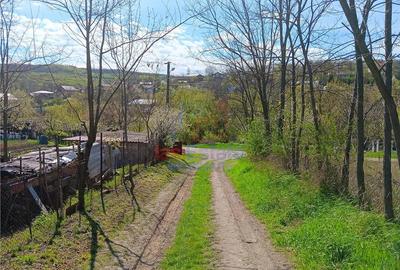 Teren de 1246 mp, în Horlești