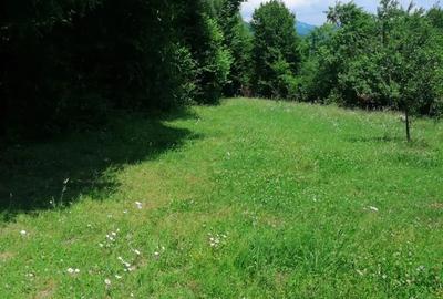 Teren de 4500 mp, în Albești - 3