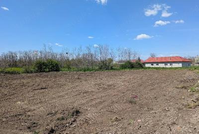 Teren de 3954 mp, în Nuntași - 3
