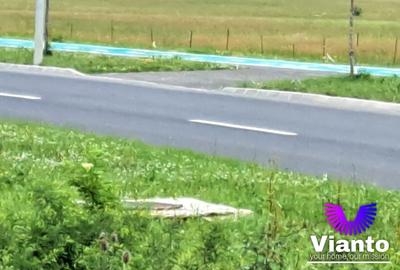 Teren Construcții intravilan de 9000 mp, în Turnișor - 5