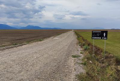 Teren agricol extravilan de 10000 mp, în Cărpiniș - 1