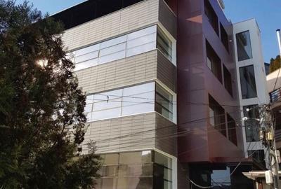 Apartament cu 21 camere decomandat în Herăstrău - 3