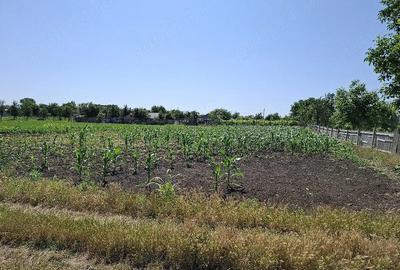 Teren de 1500 mp, în Padina - 8