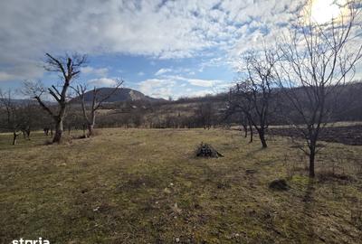 Teren de 3800 mp, în Mirșid