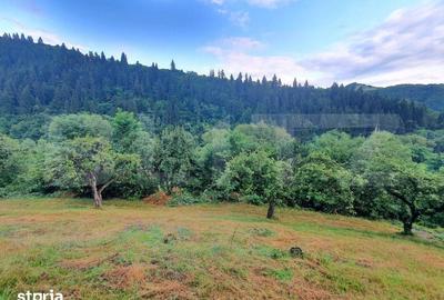 Teren de 3100 mp, în Central