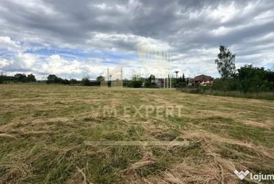 Casă cu 3 camere cu Teren 6997 Mp în Bughea de Sus - 3
