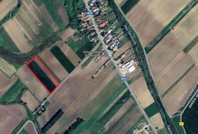 Teren de 5000 mp, în Brezoaele