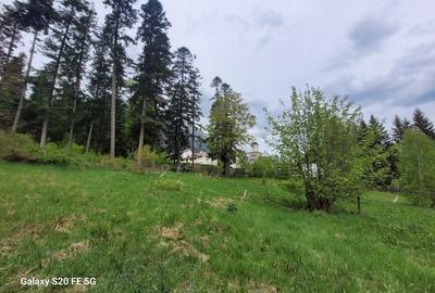 Teren Construcții intravilan de 2300 mp, în Palanca - 3