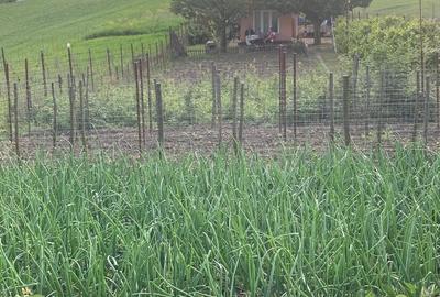 Teren de 2000 mp, în Apahida - 5