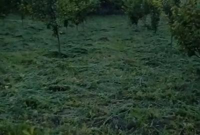 Teren de 2700 mp, în Suhurlui - 5