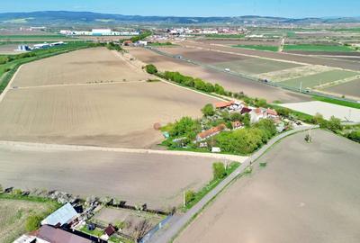 Teren Construcții intravilan de 126800 mp, în Stupini - 14