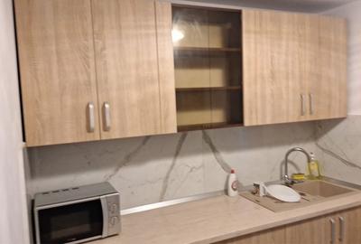 Apartament cu 2 camere în Băceni - 3