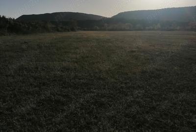Teren de 3200 mp, în Bănești - 2