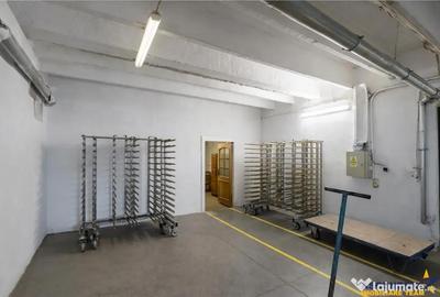 Spațiu comercial, de 1,341 mp, în Valea Crișului - 2