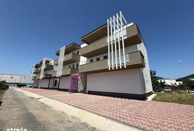 Apartament cu 2 camere în Valea Borcutului