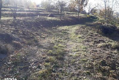 Teren de 4460 mp, în Podgoria